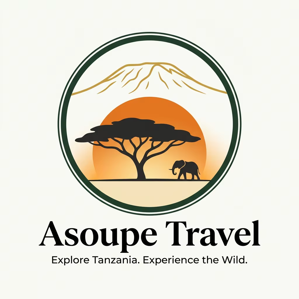 Asoupe Studio
